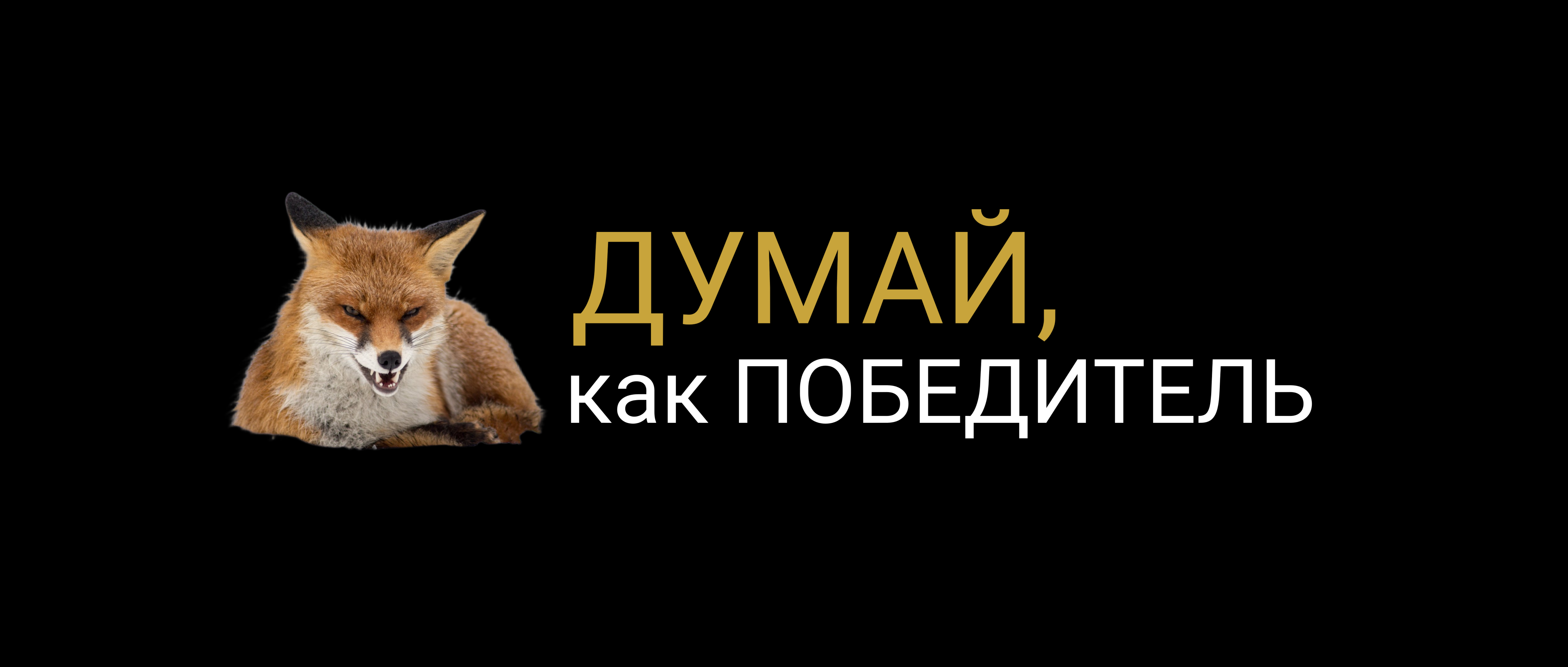 Адвокат победитель
